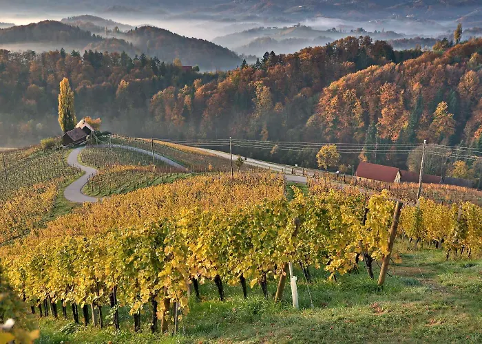 Konukevi Pri Mimiki - Luxury & Near The Wine Road Kamnica